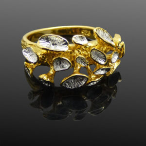 Gold and Silver Contemporary Ring